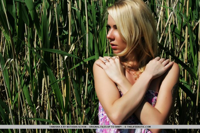 The Life Erotic: Lonely Beach (7/4/2012) 20 The Life Erotic: Lonely Beach (7/4/2012) Free Premium Sex Movies, Porn, XXX, Adult HD Videos