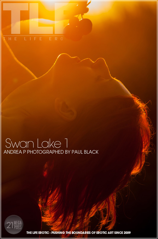 The Life Erotic: Swan Lake 1 (1/14/2014) 17 The Life Erotic: Swan Lake 1 (1/14/2014) Free Premium Sex Movies, Porn, XXX, Adult HD Videos