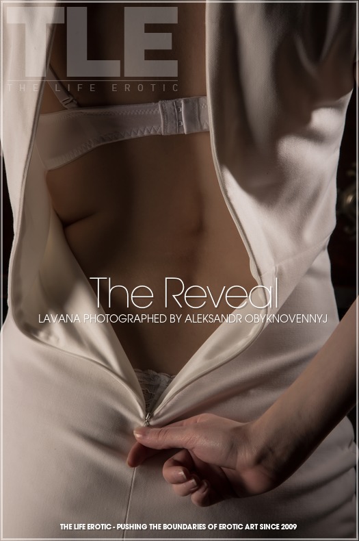 The Life Erotic: The Reveal (1/6/2015) 17 The Life Erotic: The Reveal (1/6/2015) Free Premium Sex Movies, Porn, XXX, Adult HD Videos