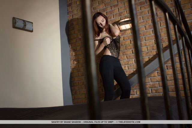 The Life Erotic: Prowler (2/3/2015) 19 The Life Erotic: Prowler (2/3/2015) Free Premium Sex Movies, Porn, XXX, Adult HD Videos