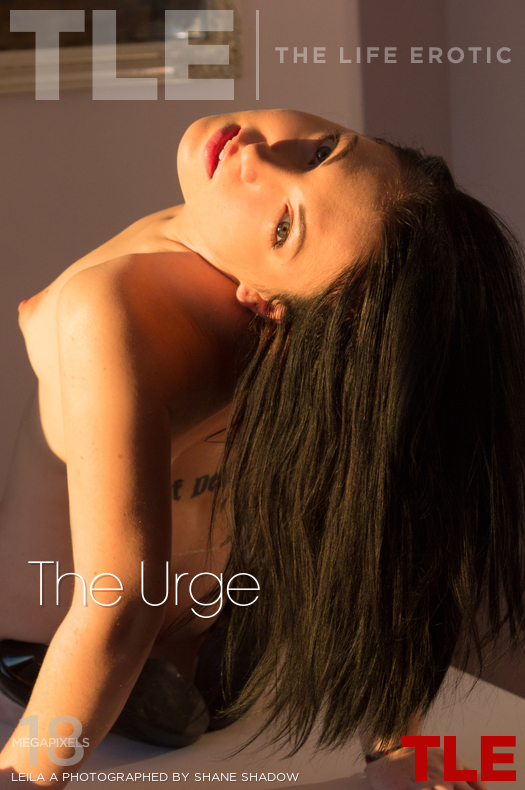 The Life Erotic: The Urge (5/15/2015) 17 The Life Erotic: The Urge (5/15/2015) Free Premium Sex Movies, Porn, XXX, Adult HD Videos