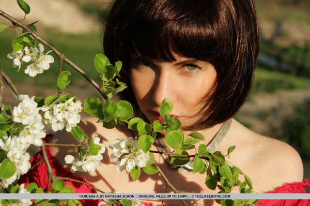 The Life Erotic: Scent Of Love (7/28/2015) 18 The Life Erotic: Scent Of Love (7/28/2015) Free Premium Sex Movies, Porn, XXX, Adult HD Videos