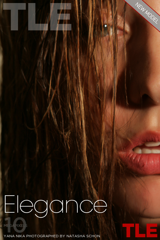 The Life Erotic: Elegance (1/5/2016) 17 The Life Erotic: Elegance (1/5/2016) Free Premium Sex Movies, Porn, XXX, Adult HD Videos