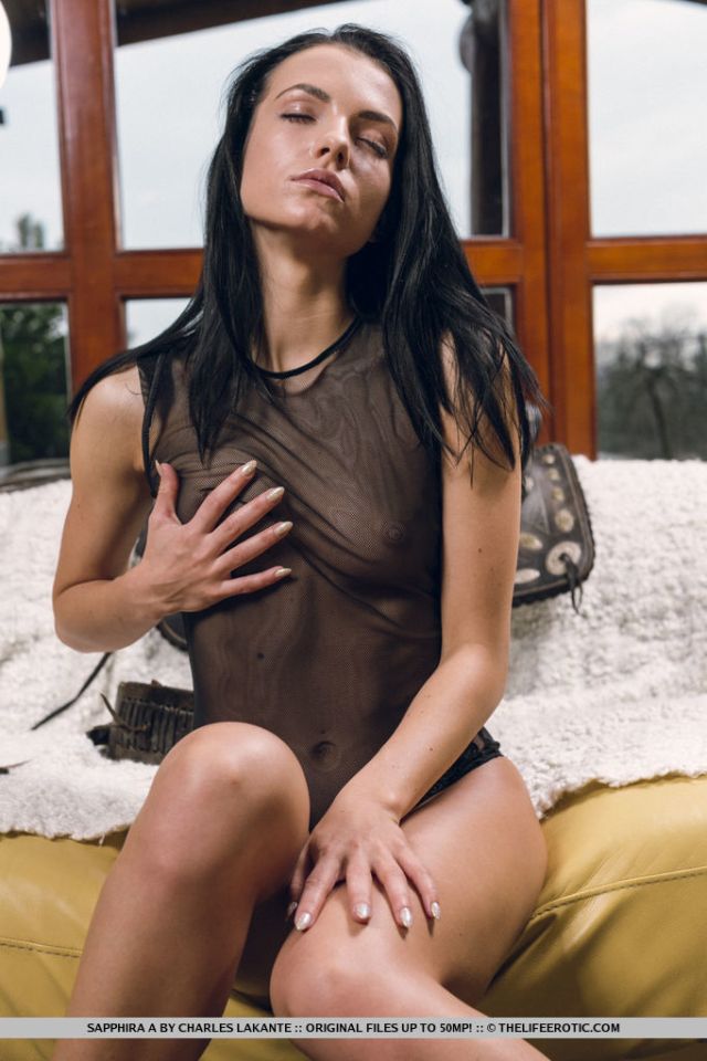 The Life Erotic: Mon Amour (7/19/2016) 19 The Life Erotic: Mon Amour (7/19/2016) Free Premium Sex Movies, Porn, XXX, Adult HD Videos