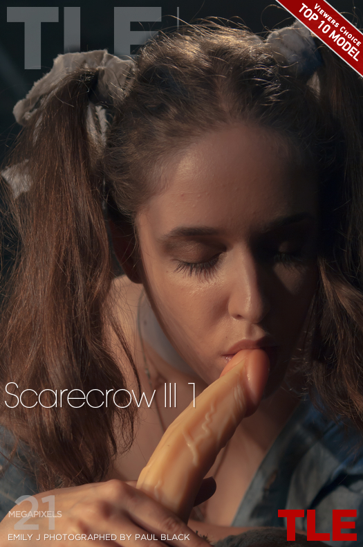 The Life Erotic: Scarecrow III 1 (12/13/2016) 17 The Life Erotic: Scarecrow III 1 (12/13/2016) Free Premium Sex Movies, Porn, XXX, Adult HD Videos