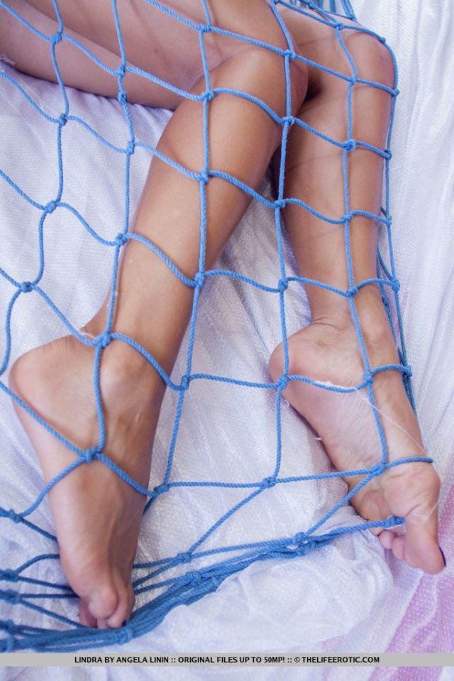 The Life Erotic: Web Of Lust (12/27/2016) 32 The Life Erotic: Web Of Lust (12/27/2016) Free Premium Sex Movies, Porn, XXX, Adult HD Videos