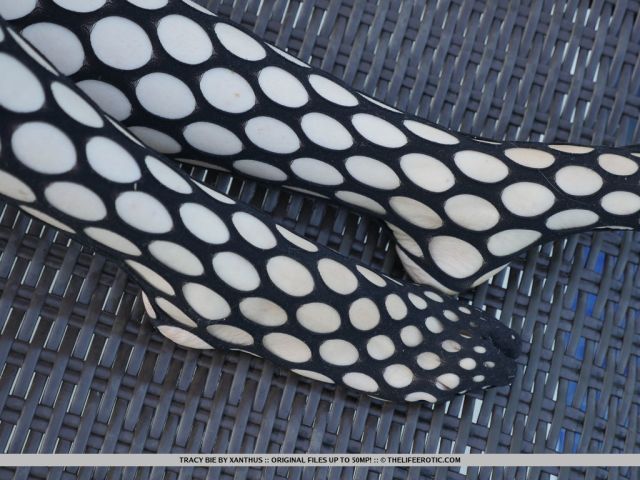 The Life Erotic: Paradise 1 (4/11/2017) 18 The Life Erotic: Paradise 1 (4/11/2017) Free Premium Sex Movies, Porn, XXX, Adult HD Videos