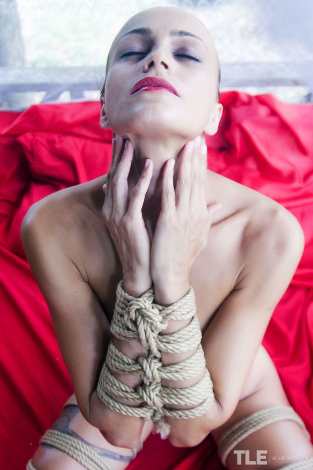 The Life Erotic: Can't Resist (10/3/2017) 26 The Life Erotic: Can't Resist (10/3/2017) Free Premium Sex Movies, Porn, XXX, Adult HD Videos