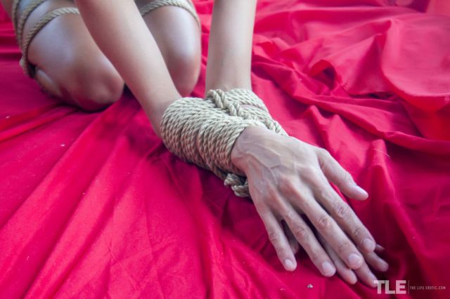 The Life Erotic: Can't Resist (10/3/2017) 27 The Life Erotic: Can't Resist (10/3/2017) Free Premium Sex Movies, Porn, XXX, Adult HD Videos