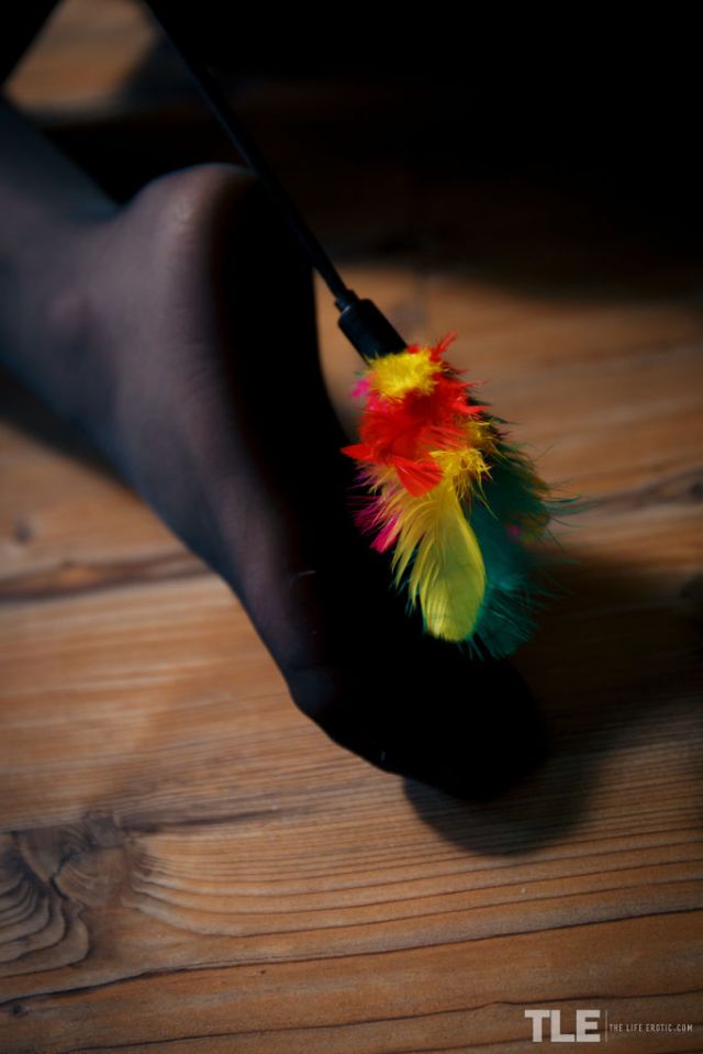 The Life Erotic: Tickling 1 (12/26/2017) 19 The Life Erotic: Tickling 1 (12/26/2017) Free Premium Sex Movies, Porn, XXX, Adult HD Videos