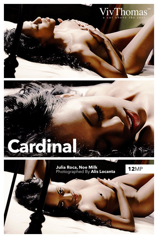 Viv Thomas: Cardinal (4/7/2017) 17 Viv Thomas: Cardinal (4/7/2017) Free Premium Sex Movies, Porn, XXX, Adult HD Videos
